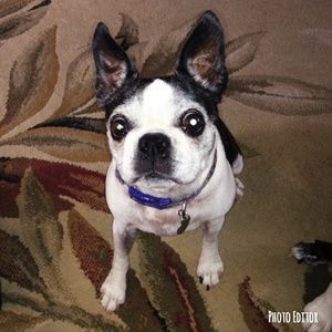 Meet your Posher, Kathy